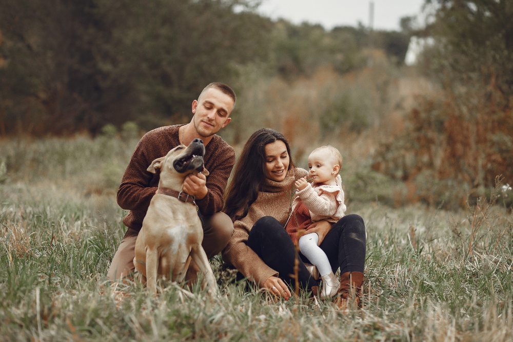 A couple with their baby and dog standing in a field during golden hour.